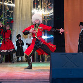 XXII Фестиваль национальных культур «Доброе братство – лучшее богатство» фото 208