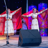 XXII Фестиваль национальных культур «Доброе братство – лучшее богатство» фото 264