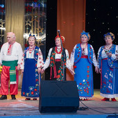 XXII Фестиваль национальных культур «Доброе братство – лучшее богатство» фото 173