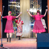 XXII Фестиваль национальных культур «Доброе братство – лучшее богатство» фото 74