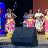 XXII Фестиваль национальных культур «Доброе братство – лучшее богатство» фото 279