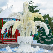 Фестиваль цветов фото 51