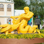 Фестиваль цветов фото 49