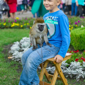 Фестиваль цветов фото 55