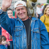 Фестиваль цветов фото 56