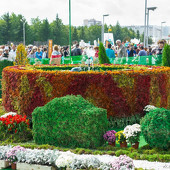 Фестиваль цветов фото 31