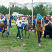 Фестиваль цветов фото 62