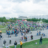 Фестиваль цветов фото 46