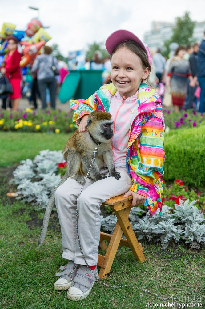 Фотография с Фестиваль цветов в Нет