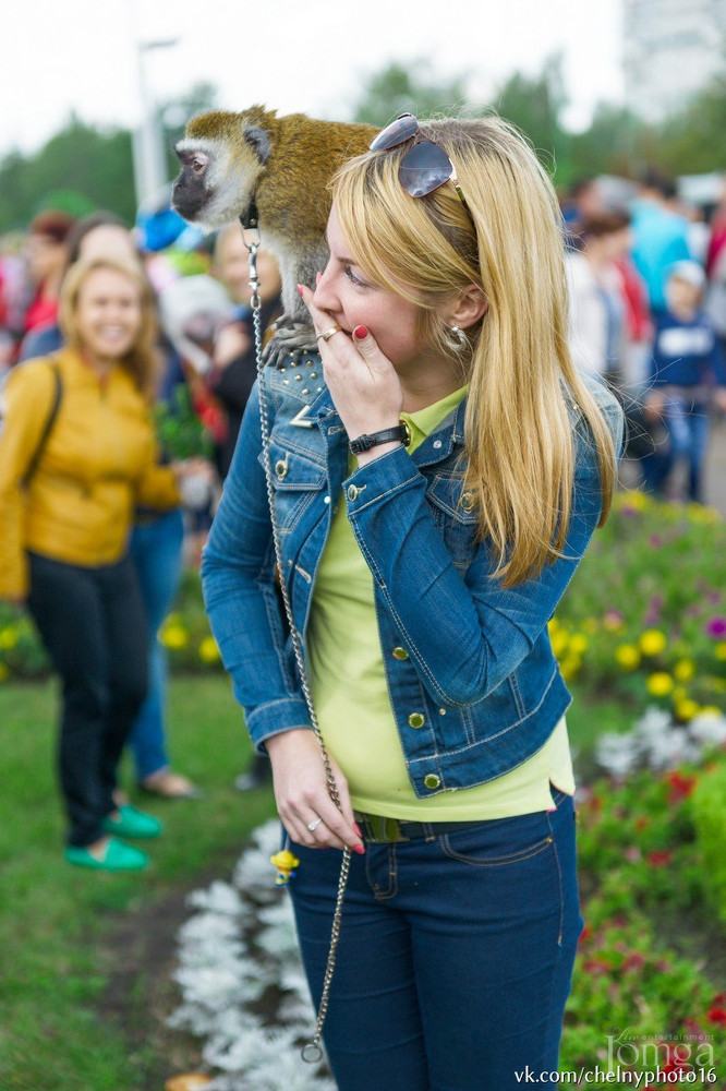 Фотография с Фестиваль цветов в Нет