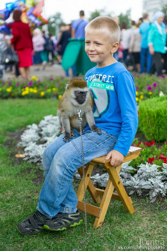 Фотография с Фестиваль цветов в Нет