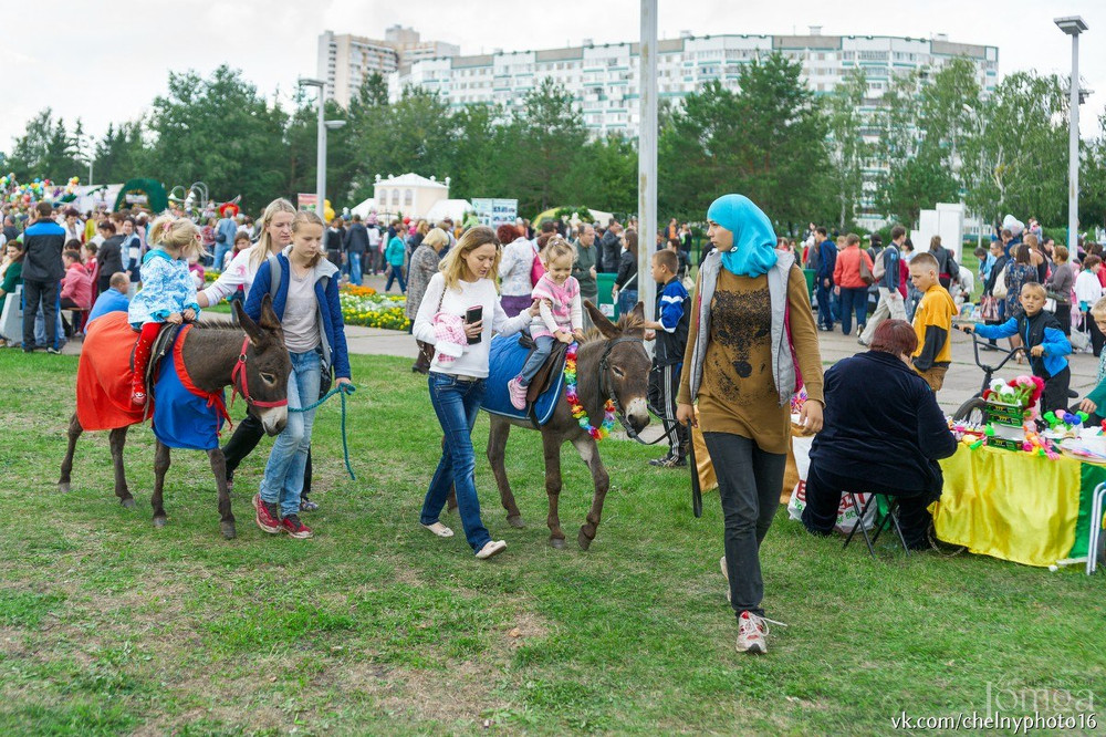 Фотография с Фестиваль цветов в Нет