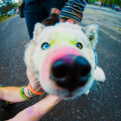 Фестиваль Красок 2015 фото 77