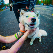 Фестиваль Красок 2015 фото 76