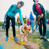 Фестиваль Красок 2015 фото 110