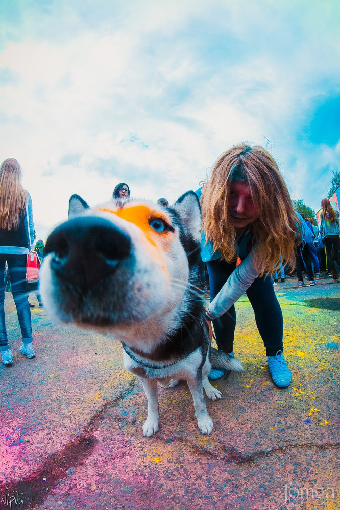 Фотография с Фестиваль Красок 2015 в Нет
