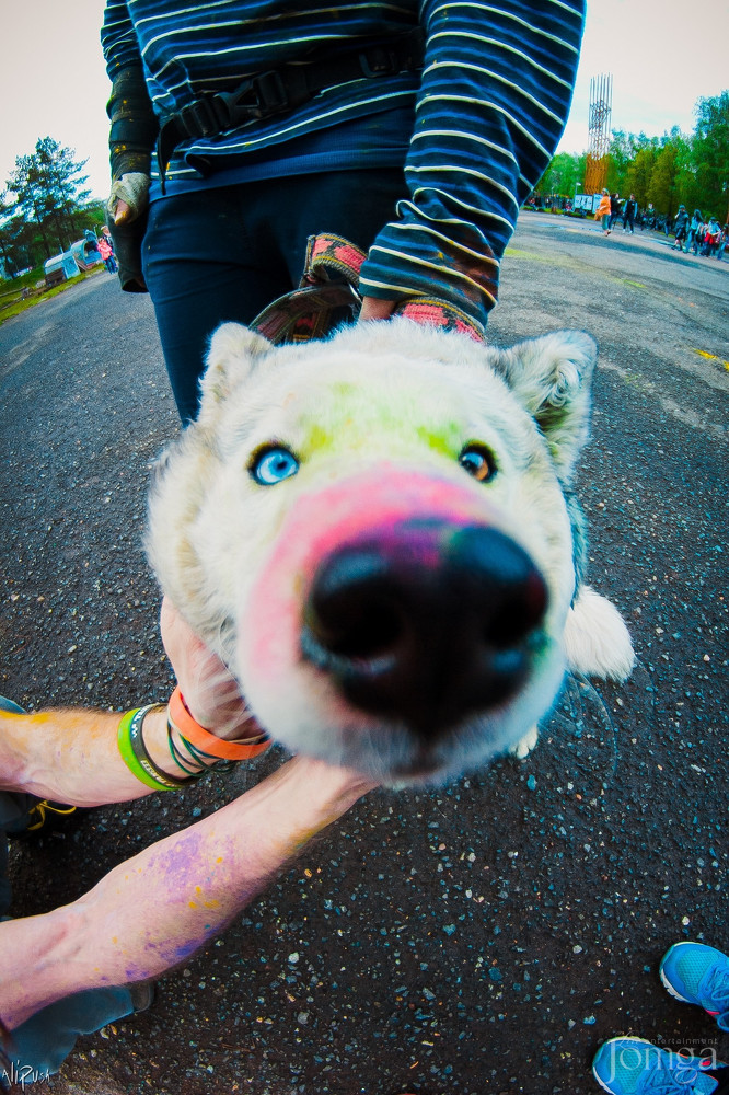 Фотография с Фестиваль Красок 2015 в Нет