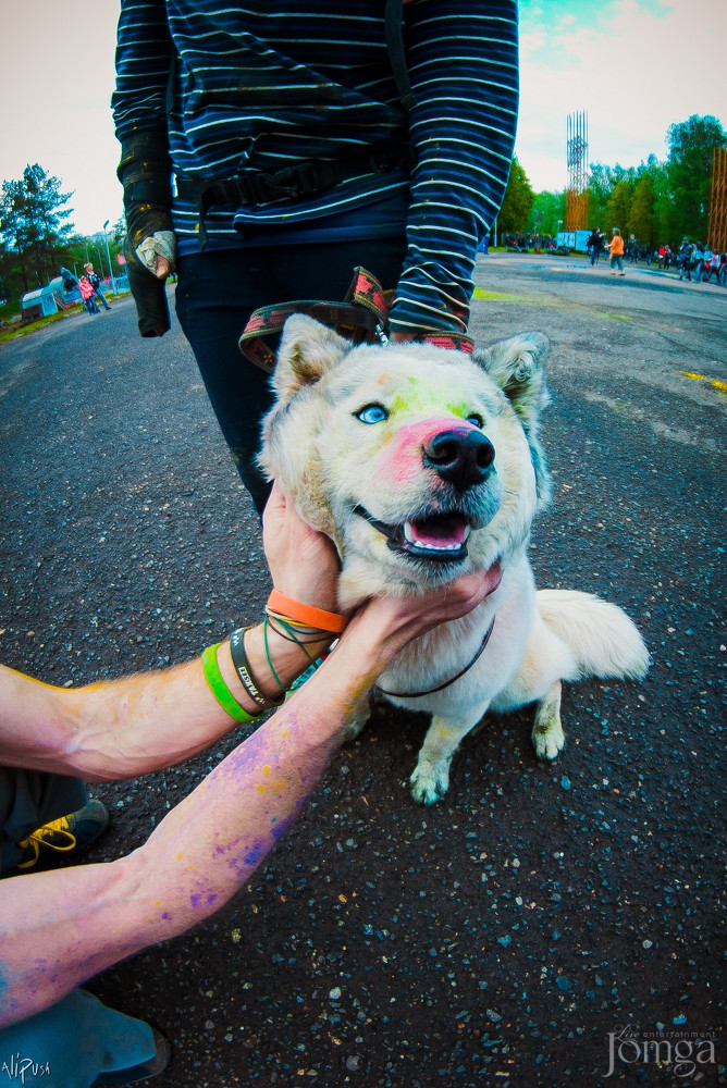 Фотография с Фестиваль Красок 2015 в Нет