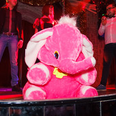 НОВЫЙ ГОД - БЕЗ ПРАВА НА СКУКУ! фото 204