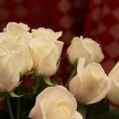 HAPPY BIRTHDAY DJ SATIVA!!! фото 48