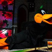 ГОЛОДНАЯ УТКА фото 34