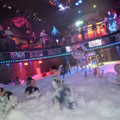 Мыльная Опера фото 76