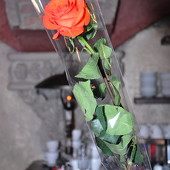 8 марта фото 43