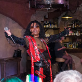 Шоу двойников фото 118