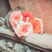 Шоу двойников фото 54