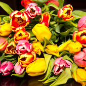 Открываем женский марафон фото 73