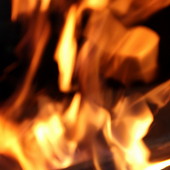 TRAPping PEOPLE фото 55