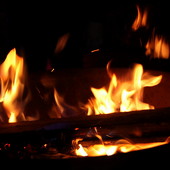 TRAPping PEOPLE фото 59