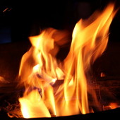 TRAPping PEOPLE фото 60